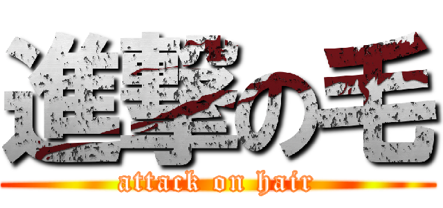 進撃の毛 (attack on hair)
