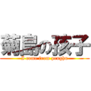 菊島の孩子 (I come from penghu)