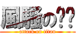 風騷の饭团 (attack on titan)