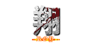 翔 (ROY)