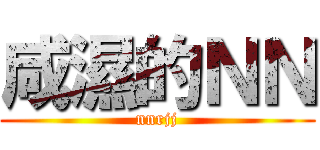 咸濕的ＮＮ (nnrjj)