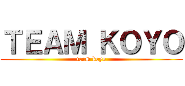 ＴＥＡＭ ＫＯＹＯ (team koyo)