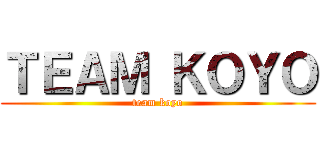 ＴＥＡＭ ＫＯＹＯ (team koyo)