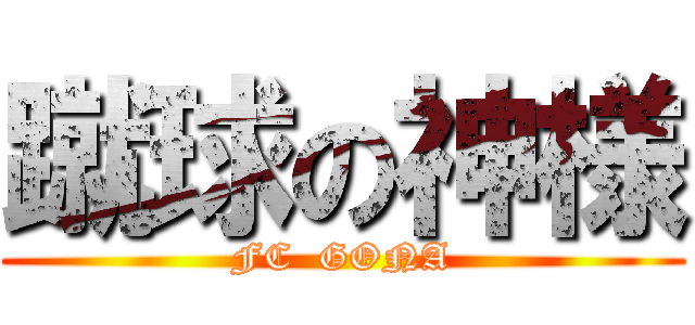 蹴球の神様 (FC  GONA)