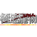 極速寵物 (attack on titan)