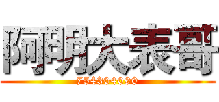 阿明大表哥 (754304090)