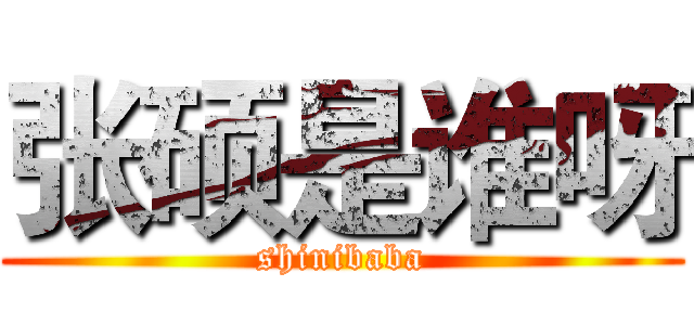 张硕是谁呀 (shinibaba)