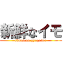 新鮮なイモ (sinnsenn gyagaimo)