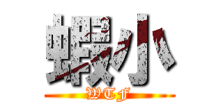 蝦小 (WTF)