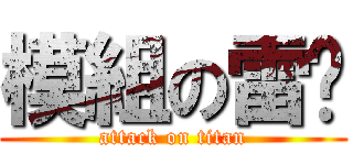 模組の雷燚 (attack on titan)