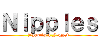 Ｎｉｐｐｌｅｓ (Aaron's a Faggot)