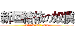 新垣結依の奴僕 (She is K's Love)
