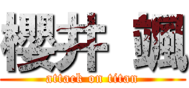 櫻井 颯 (attack on titan)