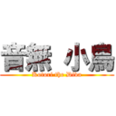 音無 小鳥 (Kotori the Diva)