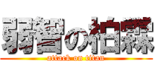 弱智の柏霖 (attack on titan)