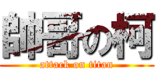 帥哥の柯 (attack on titan)