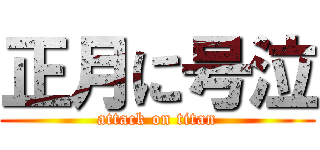 正月に号泣 (attack on titan)