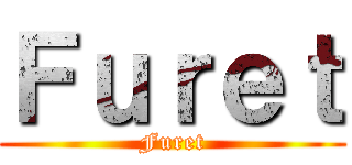Ｆｕｒｅｔ (Furet)