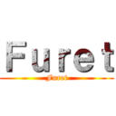Ｆｕｒｅｔ (Furet)