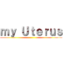 ｍｙ Ｕｔｅｒｕｓ ()
