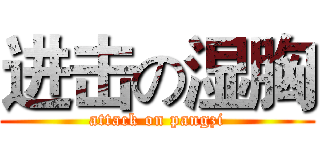 进击の湿胸 (attack on pangzi)