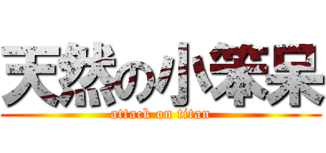 天然の小笨呆 (attack on titan)