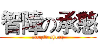 智障の承憨 (stupid sheep)