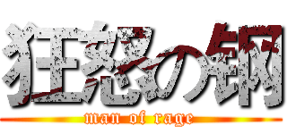 狂怒の钢 (man of rage)
