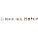 Ｃｉｅｎｃｉａｓ Ｎａｔｕｒａｌｅｓ (Ciencias Naturales)
