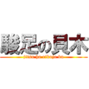 駿足の貝木 (jitsu ha rikujo bu)