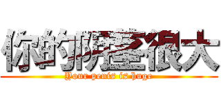 你的阴茎很大 (Your penis is huge)