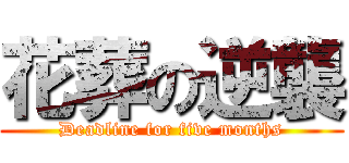 花葬の逆襲 (Deadline for five months)