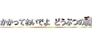 かかっておいでよ どうぶつの森 (smash bros)