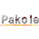 Ｐａｋｏｌｅ (it's your decision: choose.)