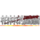 柏林的圍牆 (Berlin wall)