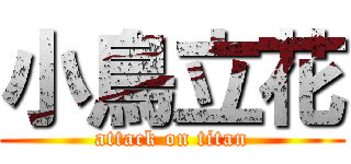 小鳥立花 (attack on titan)