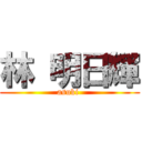 林 明日輝 (asuki )