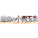 进击の小狗玉米 (attack on titan)