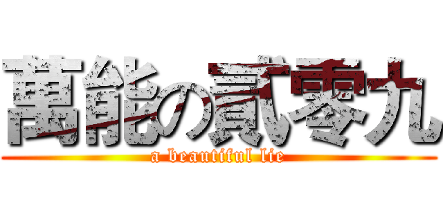 萬能の貳零九 (a beautiful lie)