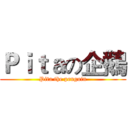 Ｐｉｔａの企鵝 (Pita the penguin)