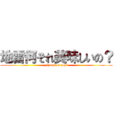 地雷何それ美味しいの？ (Fjoshi on wall)