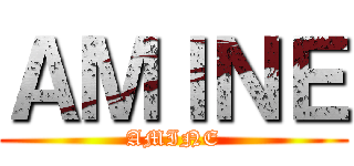 ＡＭＩＮＥ (AMINE)