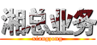 湘总业务 (xiangzong)