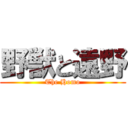 野獣と遠野 (The Homo)