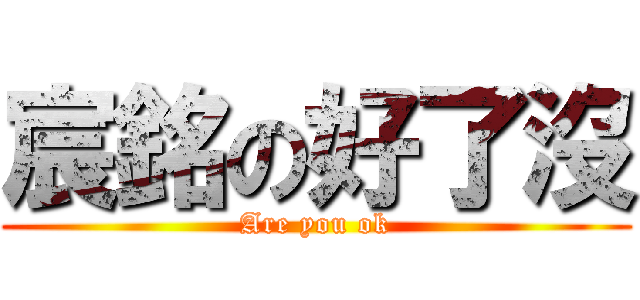 宸銘の好了沒 (Are you ok)
