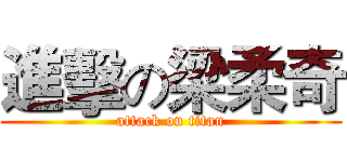 進擊の梁柔奇 (attack on titan)