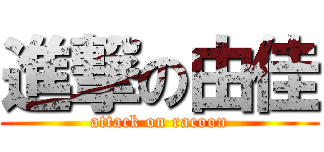 進撃の由佳 (attack on racoon)