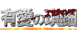 有愛の琪鈿 (attack on titan)