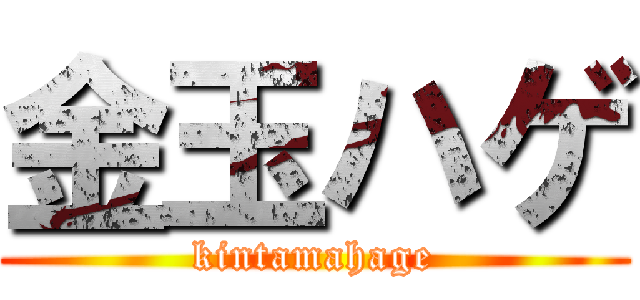 金玉ハゲ (kintamahage)