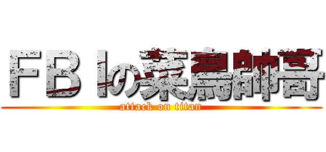 ＦＢＩの菜鳥帥哥 (attack on titan)